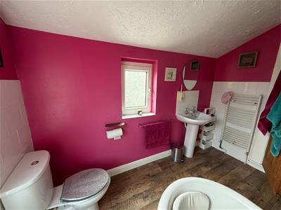 Picture 21
